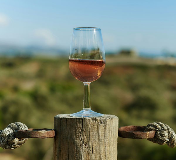 WINE TASTING TOUR
